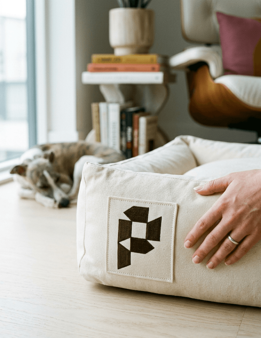 Plane Embroidered patch on a canvas dog bed in a Scandinavian living room. mockup